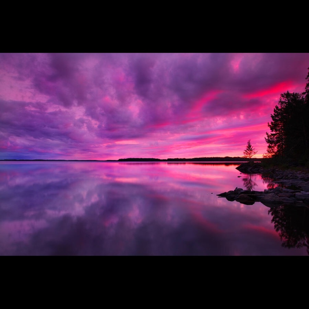 Meet your Posher, Dominique